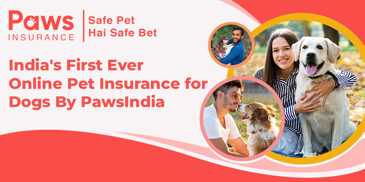 India’s First Ever Online Pet Insurance for Dogs By PawsIndia